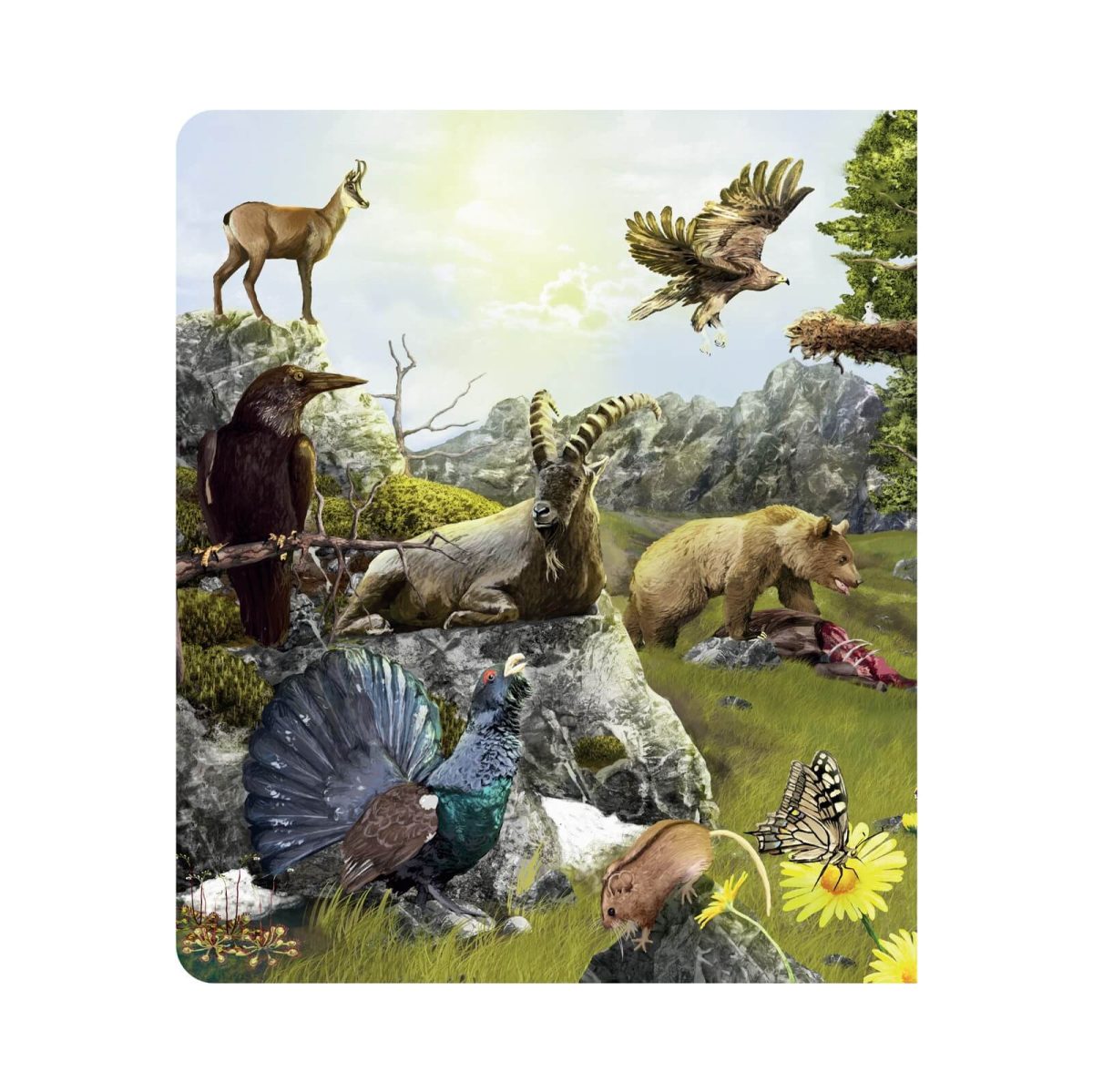 Interaktivna knjiga Kuku - Svijet životinja (bez olovke)