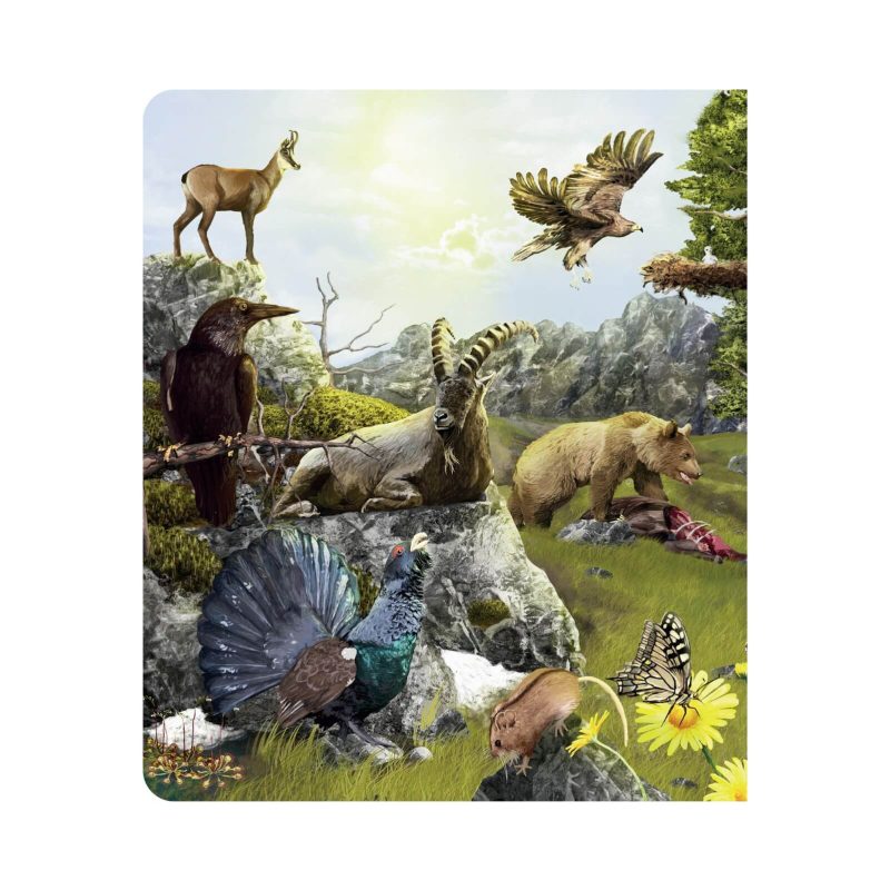 Interaktivna knjiga Kuku - Svijet životinja (bez olovke)