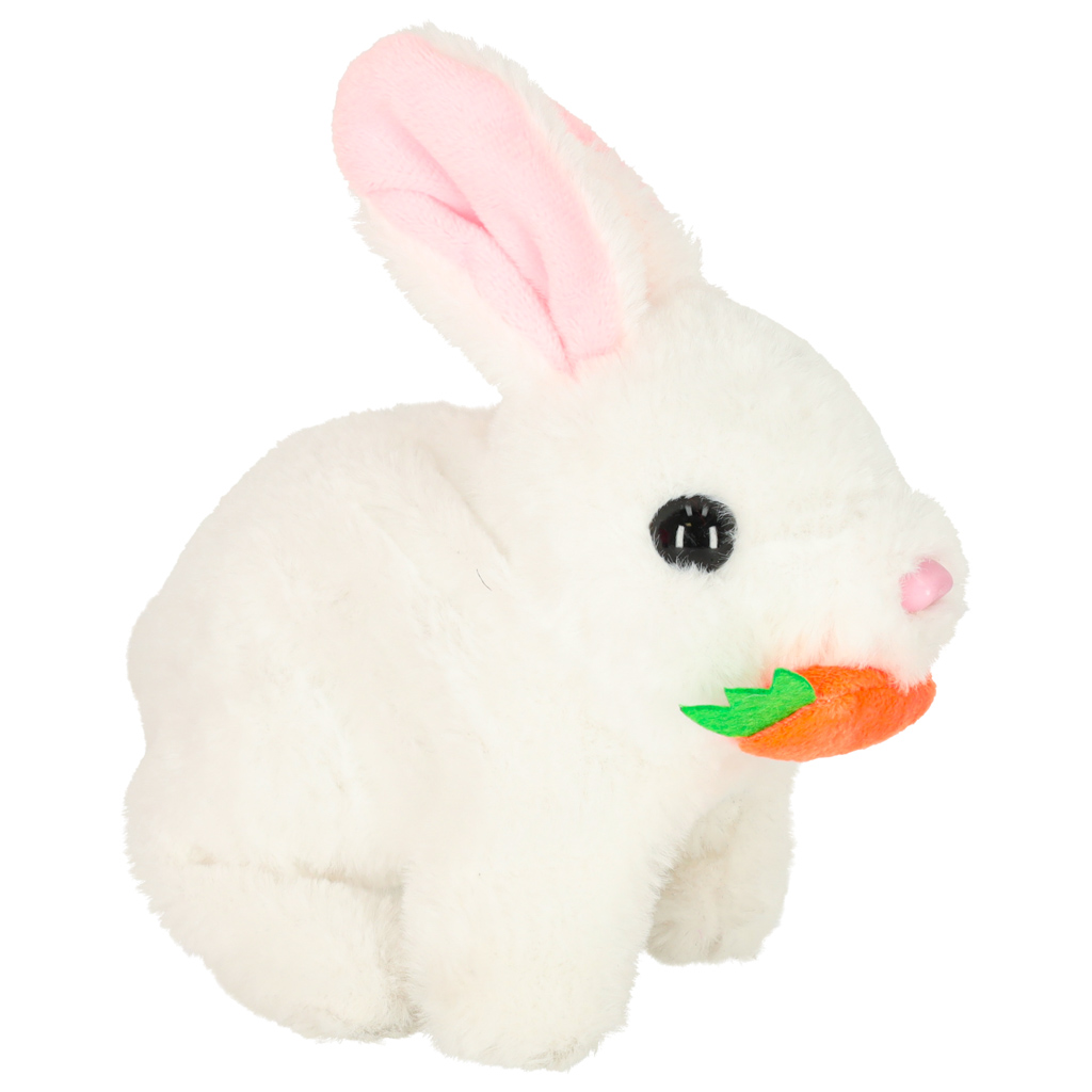 Zeko s mrkvom hoda i miče ušima