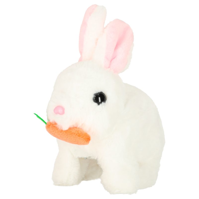 Zeko s mrkvom hoda i miče ušima