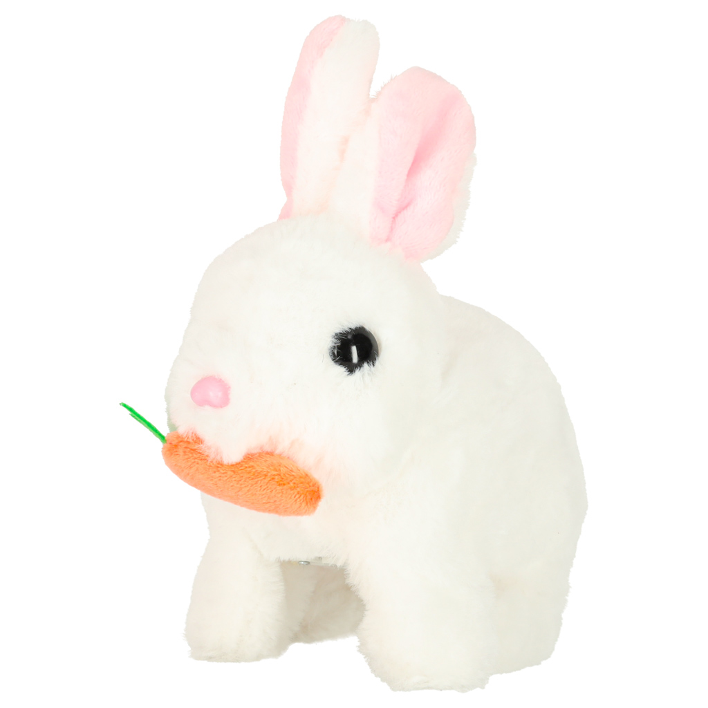 Zeko s mrkvom hoda i miče ušima