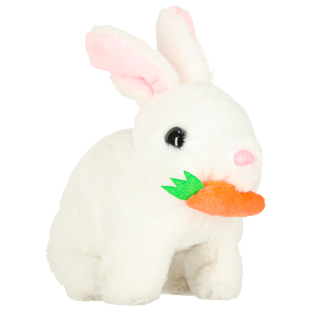 Zeko s mrkvom hoda i miče ušima