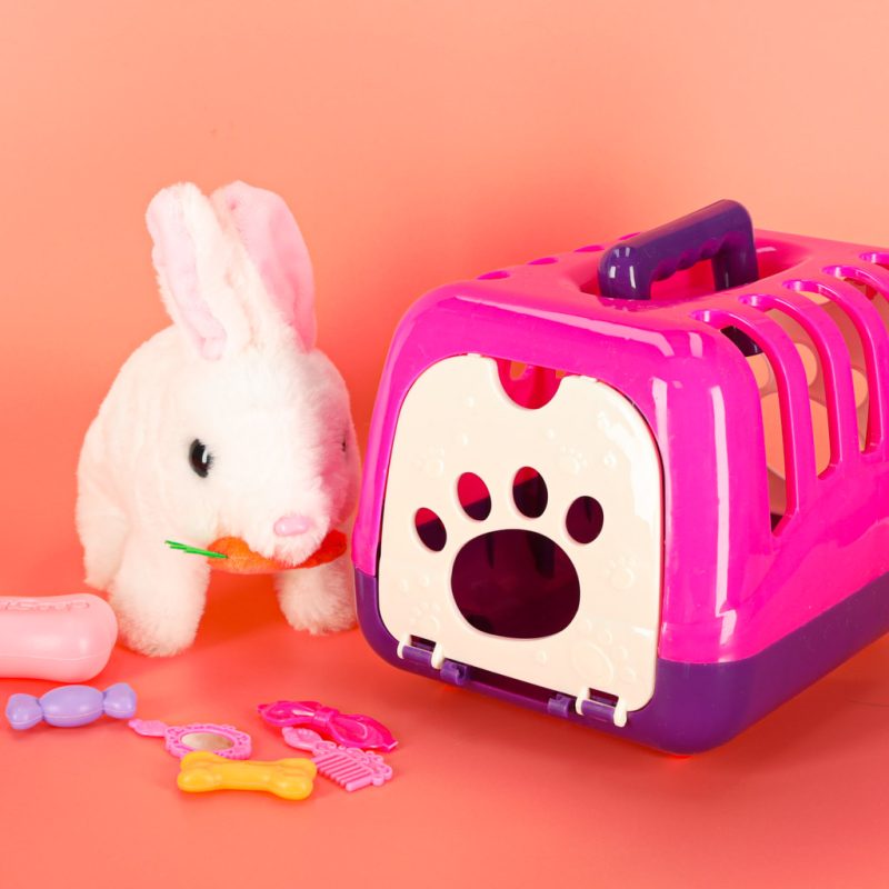 Zeko s mrkvom hoda i miče ušima