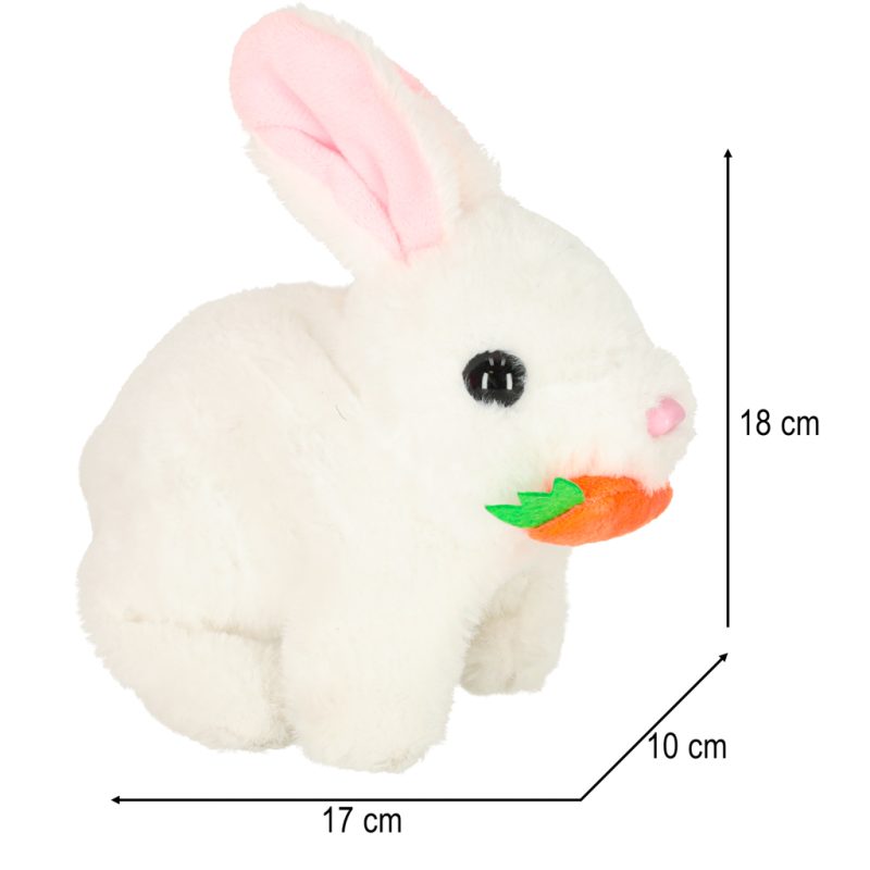 Zeko s mrkvom hoda i miče ušima