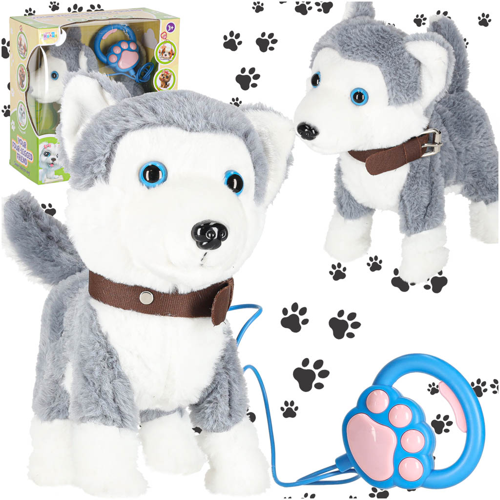 Interaktivni pas na uzici, pokret, zvuk, haski