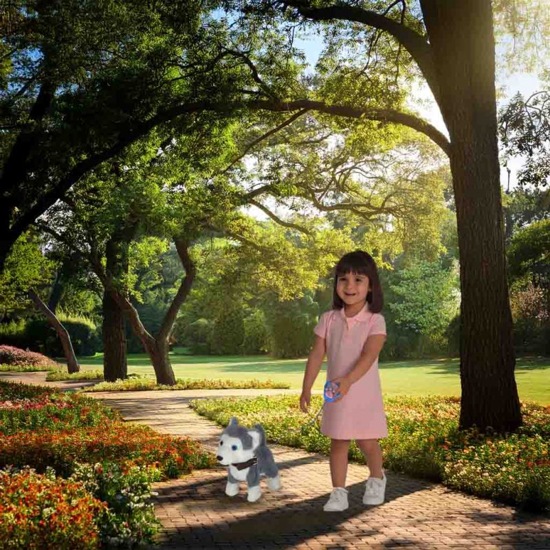 Interaktivni pas na uzici, pokret, zvuk, haski