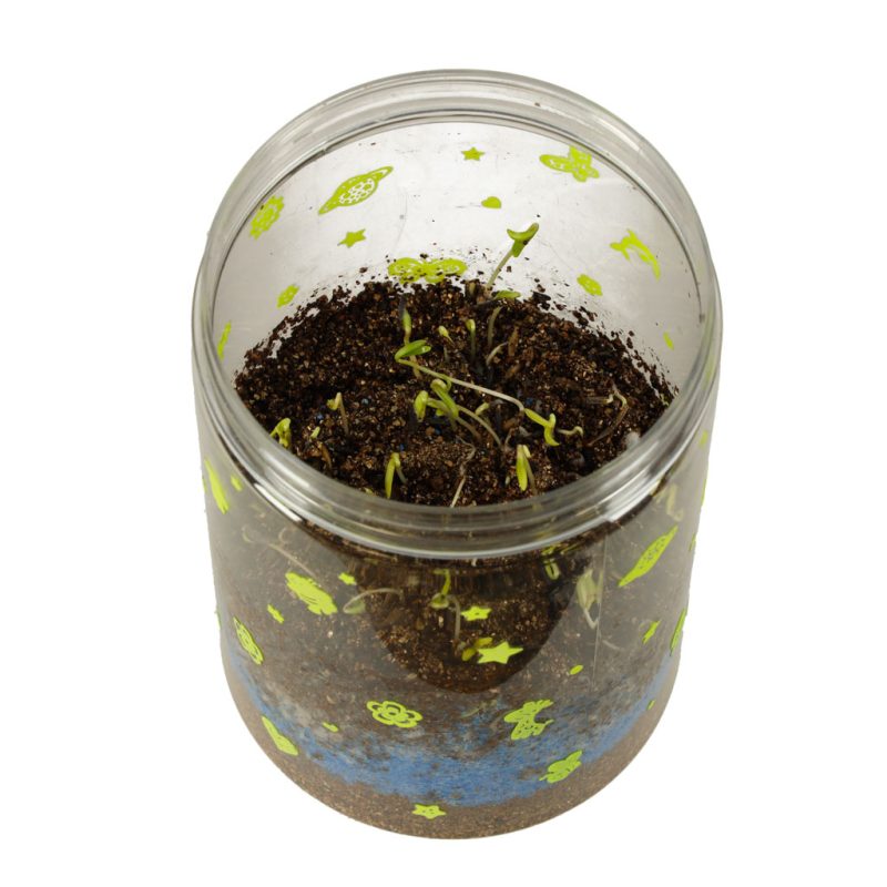 Terarij s farmom dinosaura, projektor i LED noćnim svjetlom