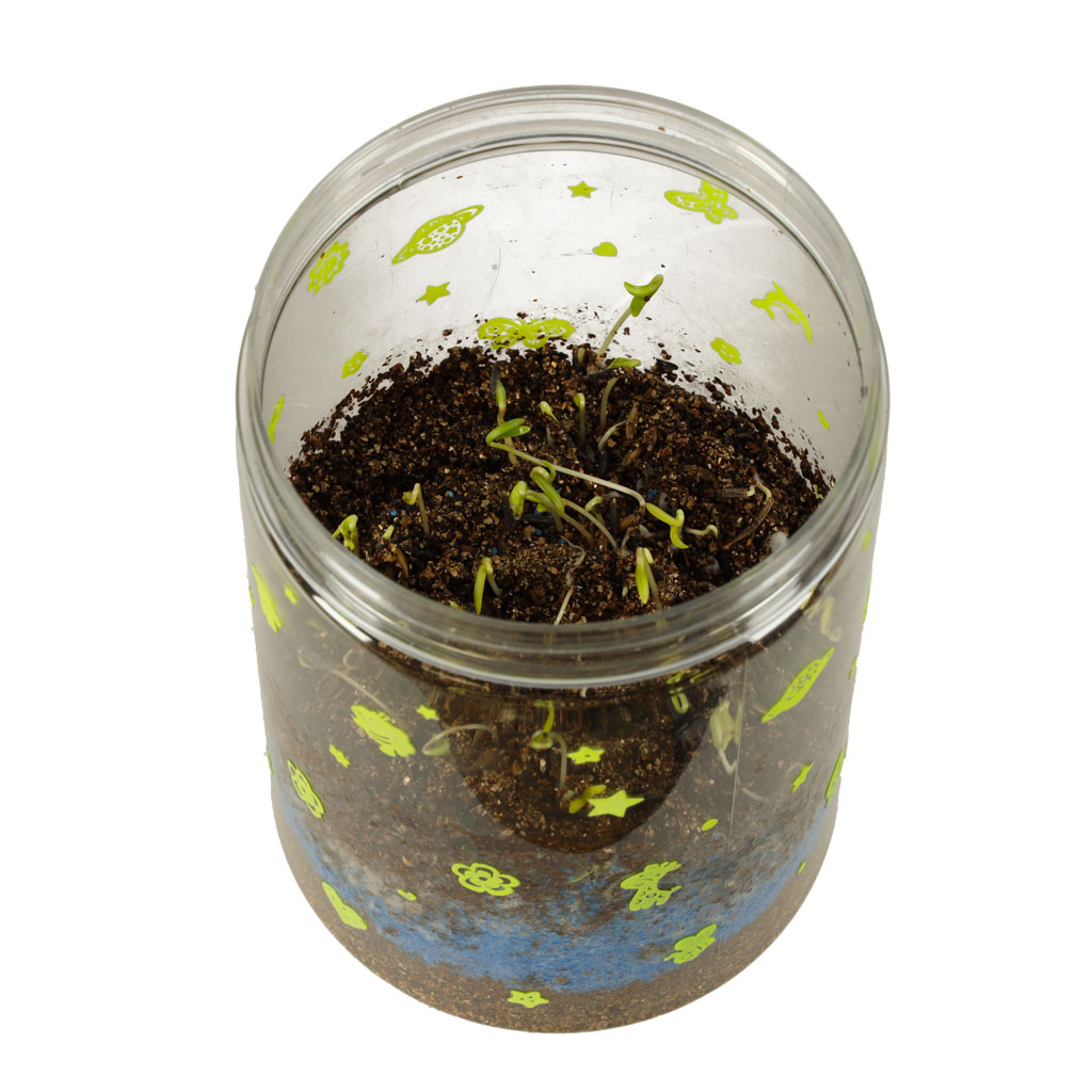 Terarij s farmom dinosaura, projektor i LED noćnim svjetlom