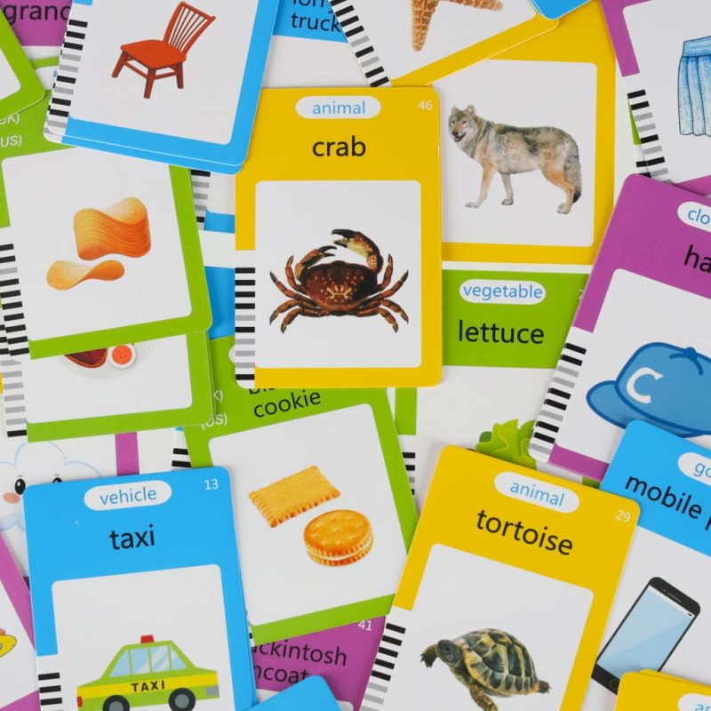 Čitač kartica za učenje engleskog vokabulara 8,5'' plavi 7