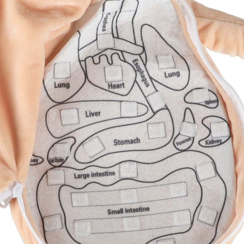 Lutka koja uči o anatomiji djevojčice 7