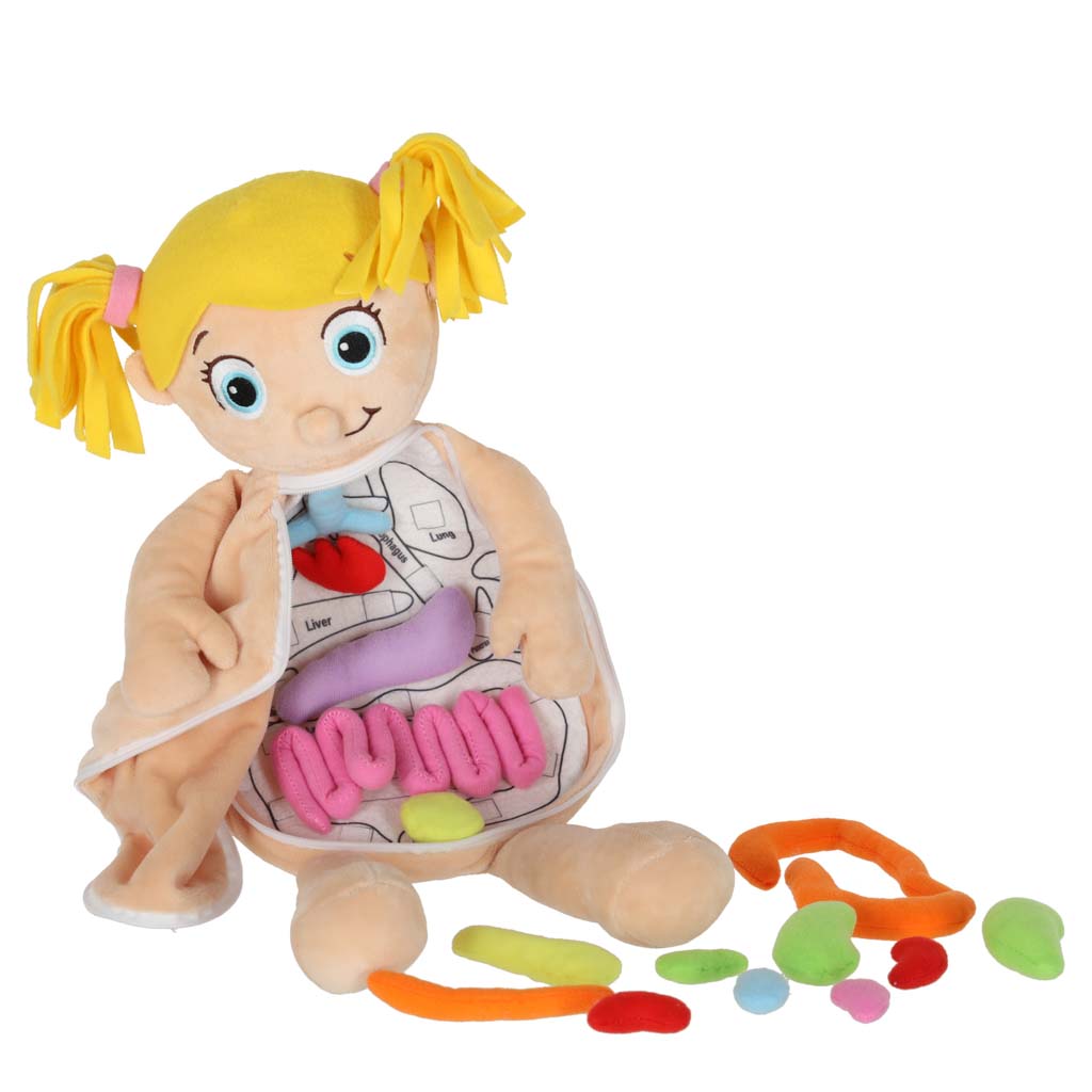 Lutka koja uči o anatomiji djevojčice 6
