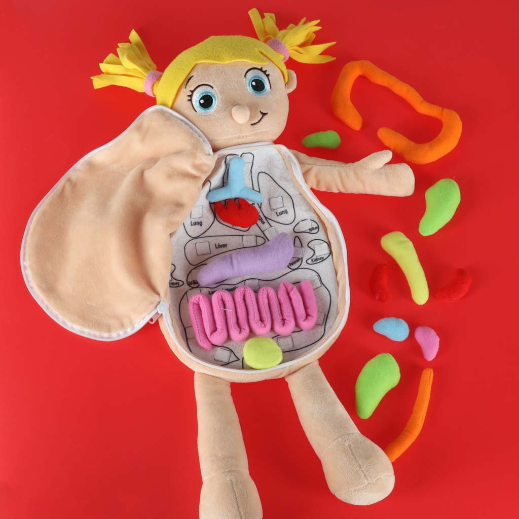 Lutka koja uči o anatomiji djevojčice 5