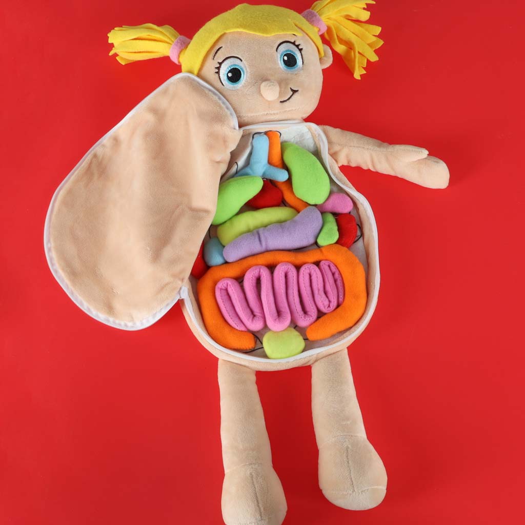 Lutka koja uči o anatomiji djevojčice 4