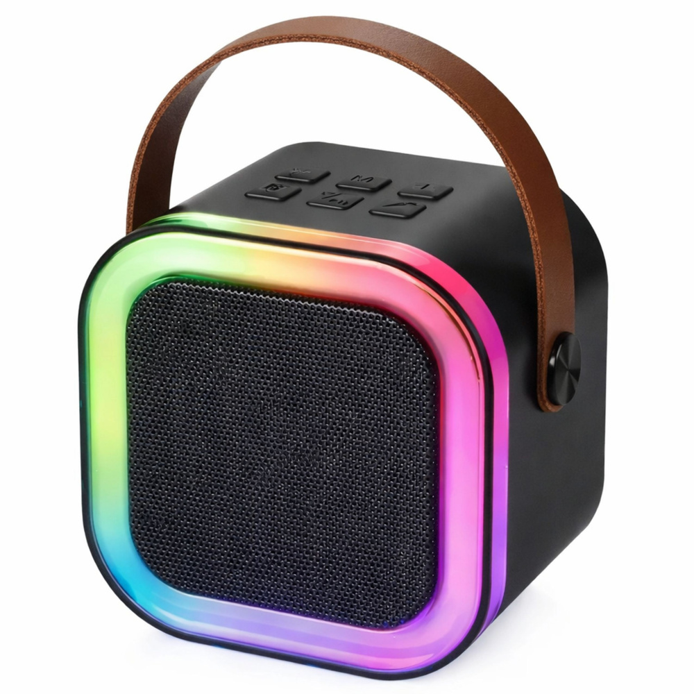 Karaoke zvučnik s 2 mikrofona BLUETOOTH USB LED CRNI