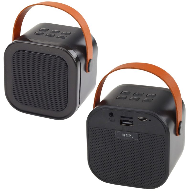 Karaoke zvučnik s 2 mikrofona BLUETOOTH USB LED CRNI