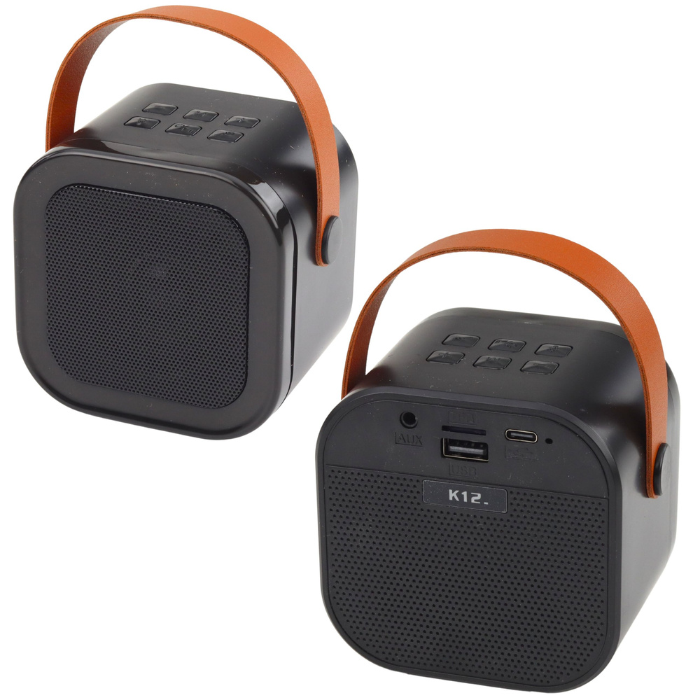 Karaoke zvučnik s 2 mikrofona BLUETOOTH USB LED CRNI