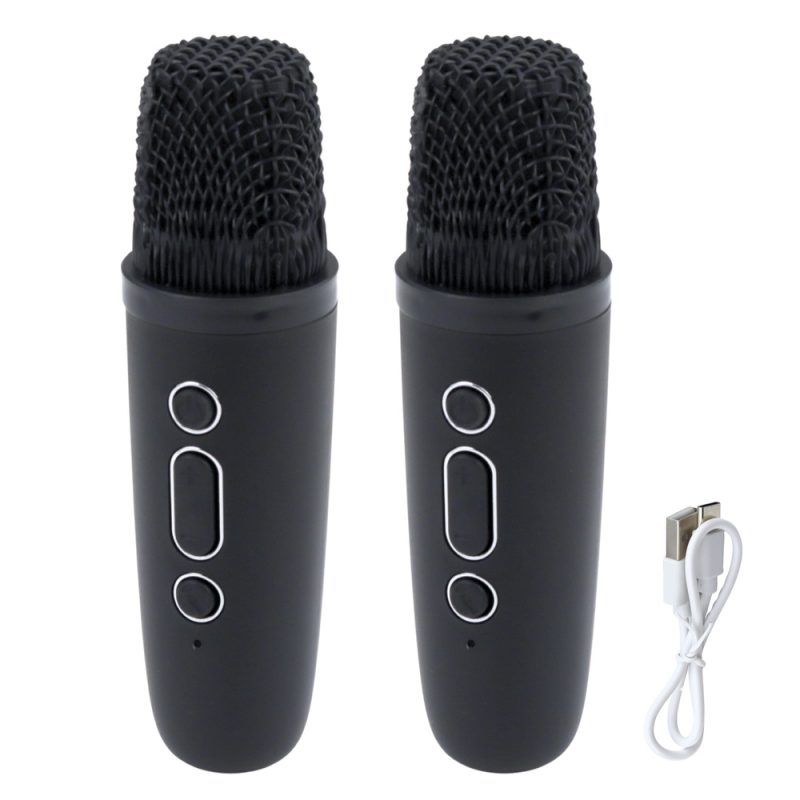 Karaoke zvučnik s 2 mikrofona BLUETOOTH USB LED CRNI