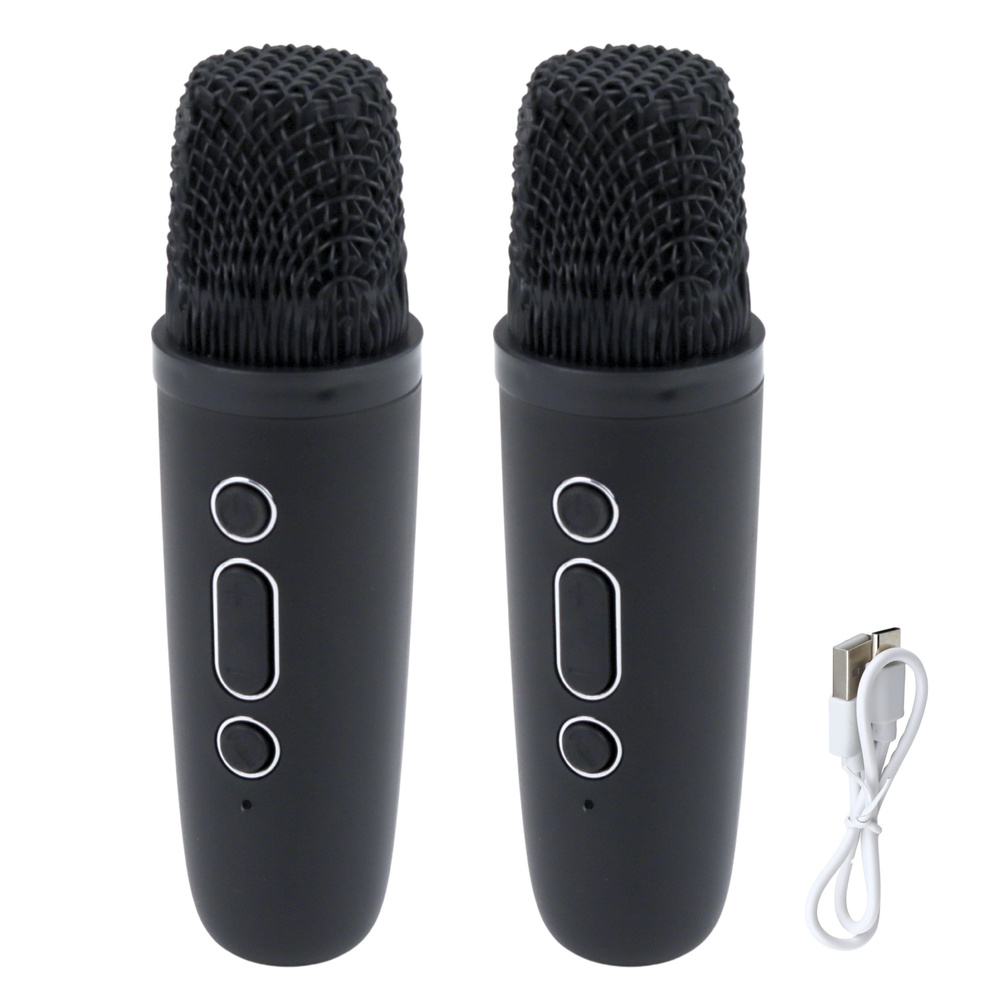 Karaoke zvučnik s 2 mikrofona BLUETOOTH USB LED CRNI